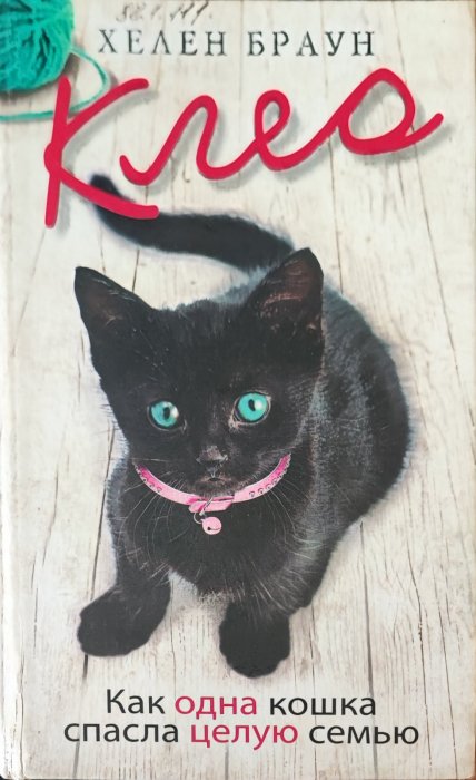 Клео. Как одна кошка спасла целую семью
