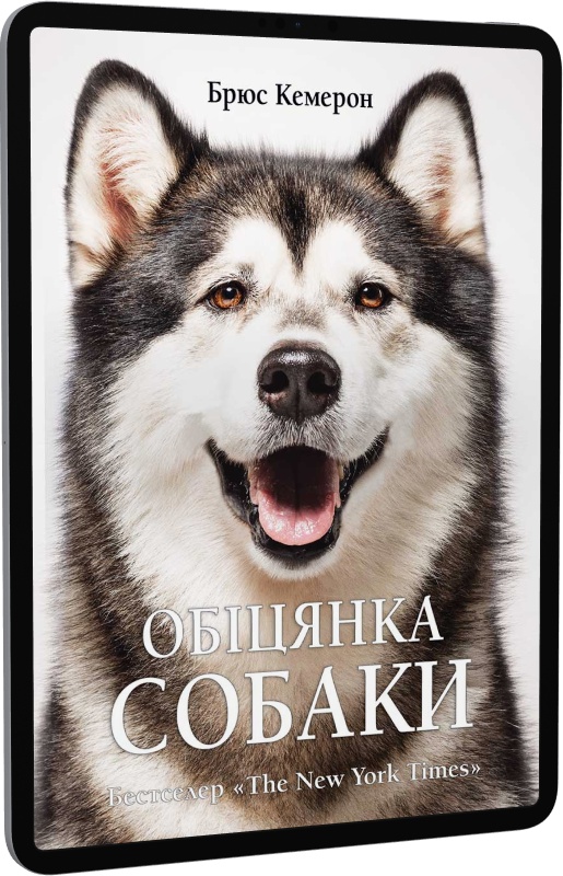 Обіцянка собаки