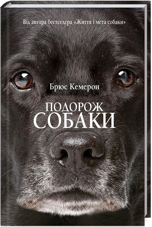 Подорож собаки