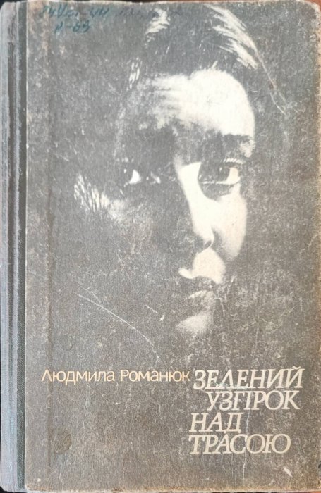 Зелений узгірок над трасою