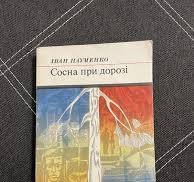 Сосна при дорозі
