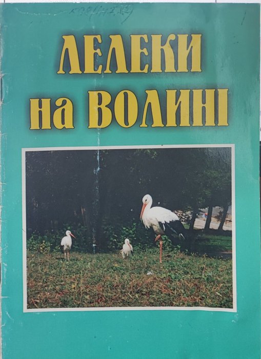 Лелеки на Волині