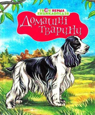 Домашні тварини