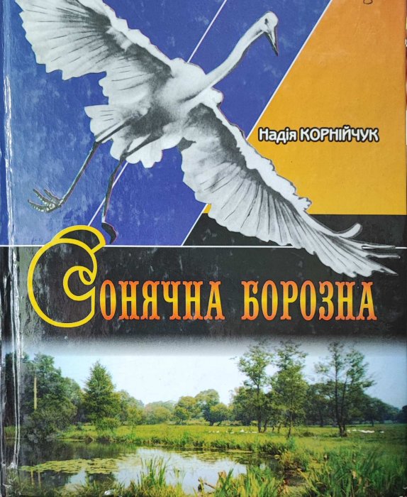 Сонячна борозна