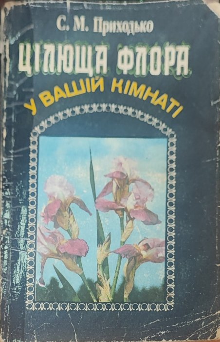 Цілюща флора у вашій кімнаті