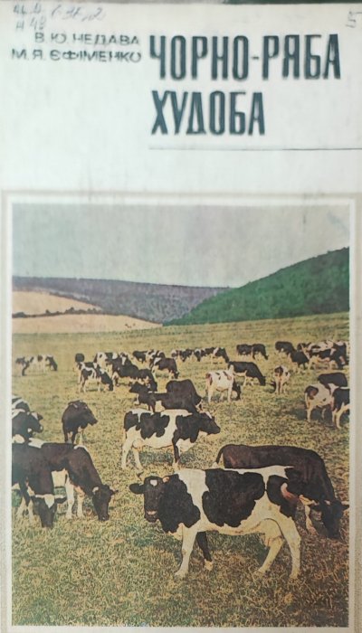 Чорно-ряба худоба