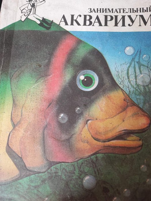 Занимательный аквариум