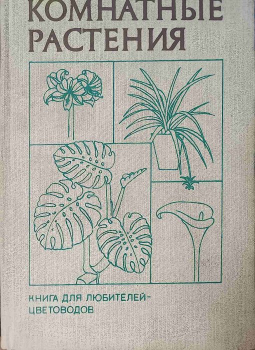 Комнатные растения