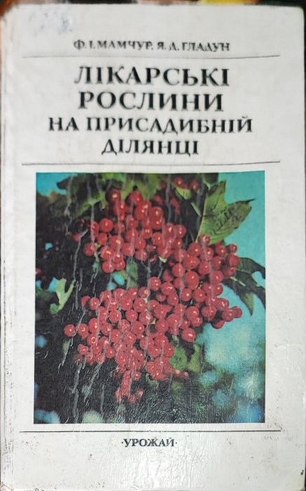 Лікарські рослини на присадибній ділянці