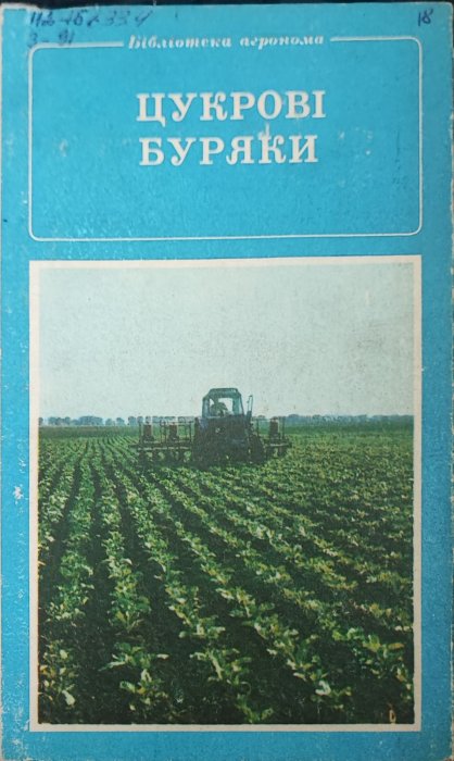 Цукрові буряки