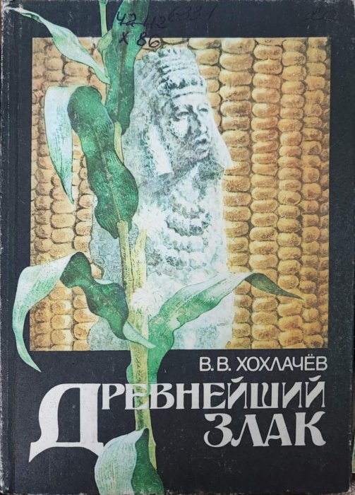 Древнейший злак