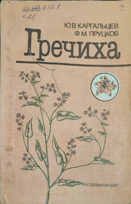 Гречиха