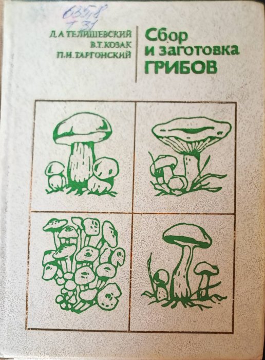 Сбор и заготовка грибов