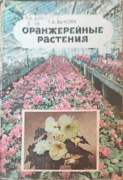 Оранжерейные растения