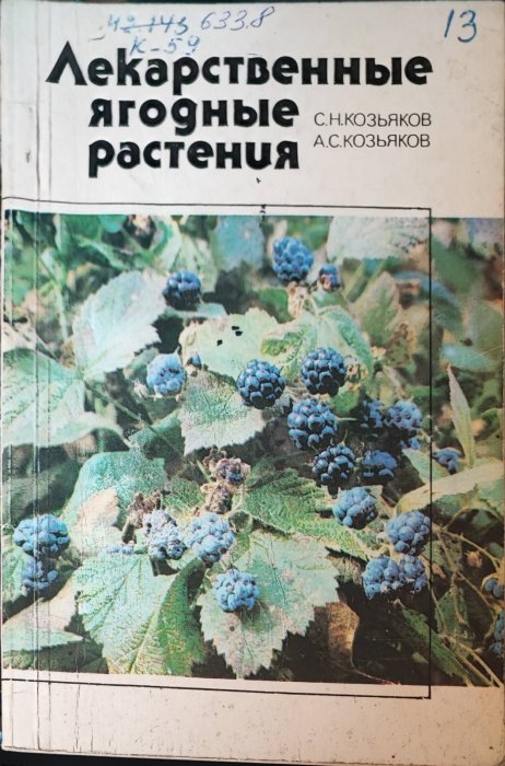 Лекарственные ягодные растения