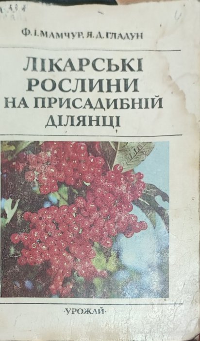 Лікарські рослини на присадибній ділянці