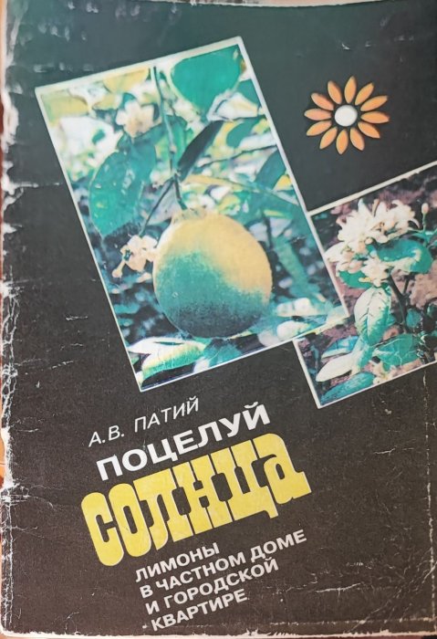 Поцелуй солнца. Лимоны в частном доме