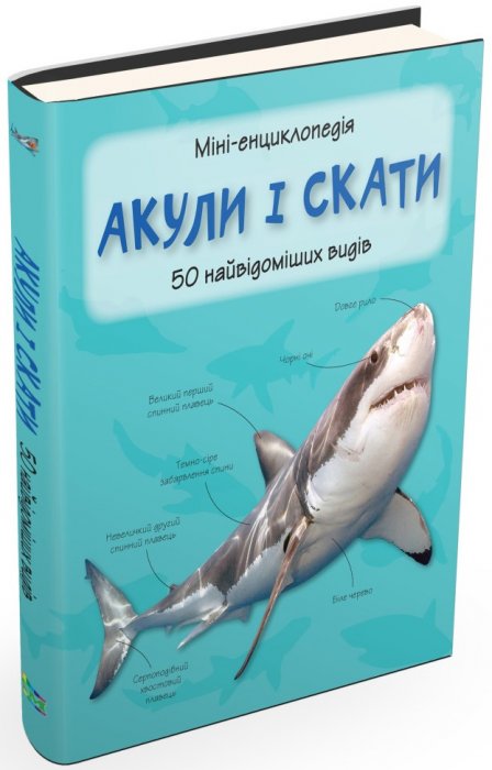 Акули і скати. 50 найвідоміших видів