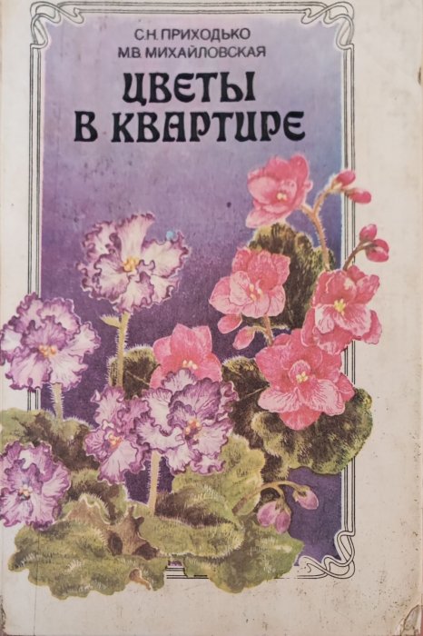 Цветы в квартире