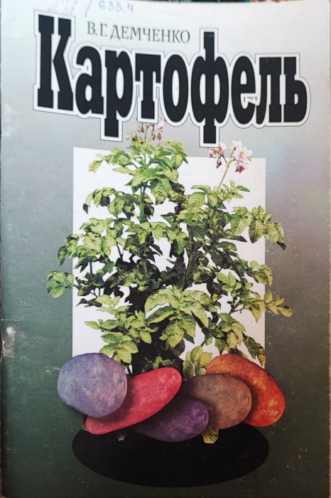 Картофель