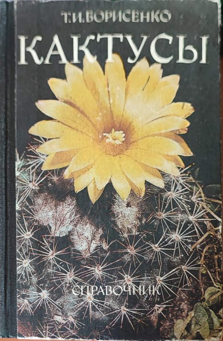 Кактуси