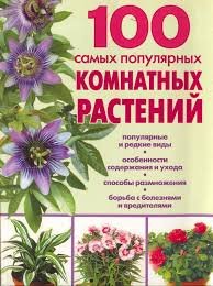 100 самых популярных комнатных растений