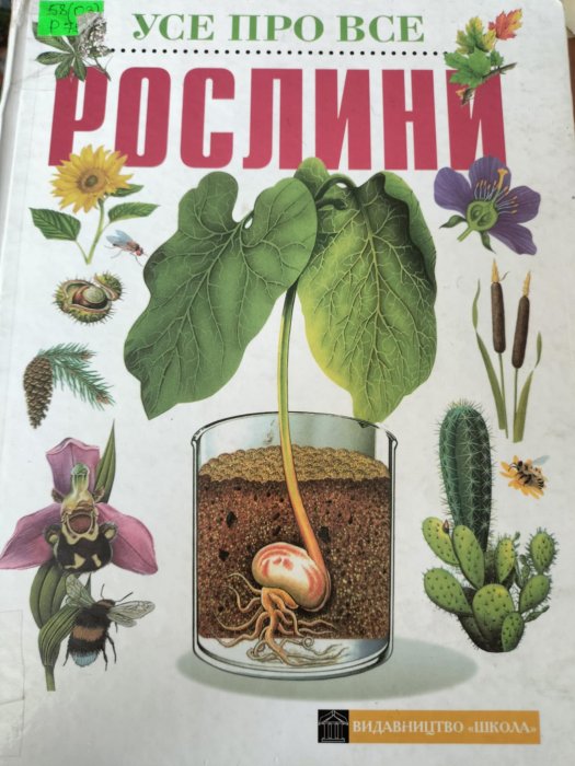 Рослини