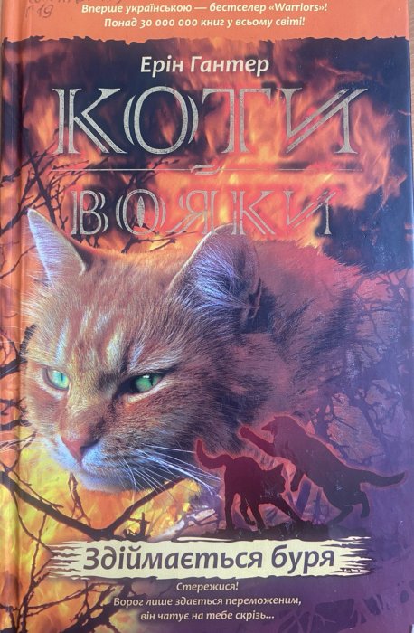 Коти-вояки. Пророцтва починаються. Книга 4. Здіймається буря