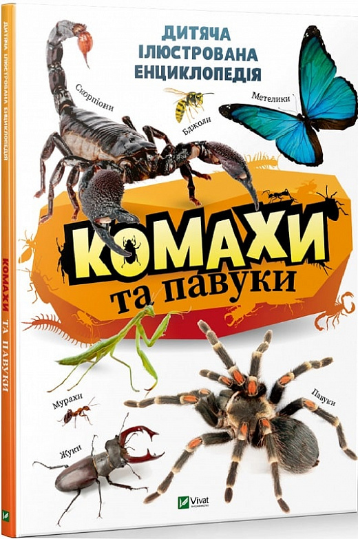 Комахи та павуки