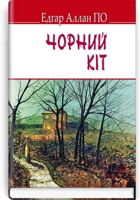 Чорний кіт