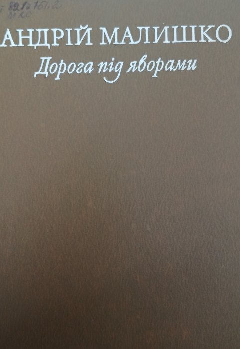 Дорога під яворами