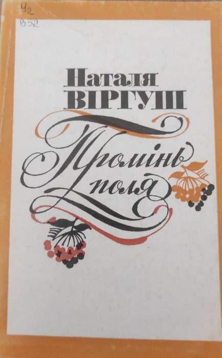 Промінь поля