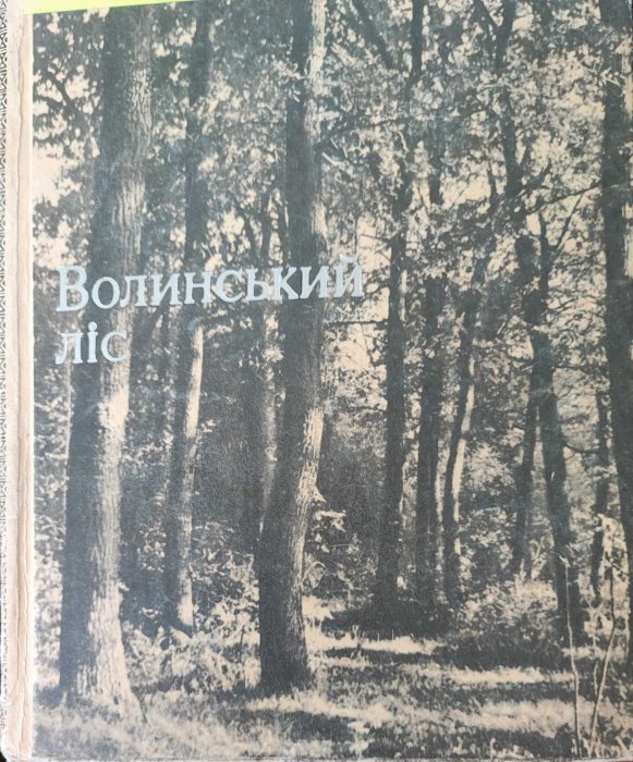 Волинський ліс