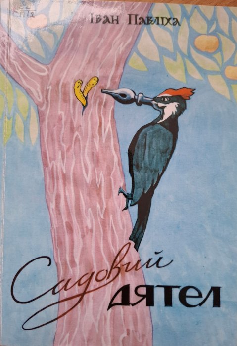 Садовий дятел