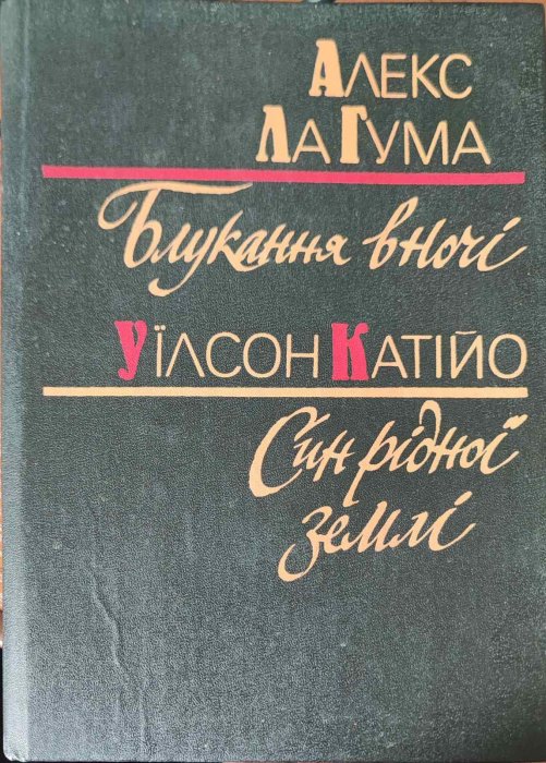 Блукання вночі. Син рідної землі