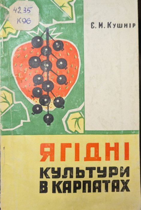 Ягідні культури в Карпатах