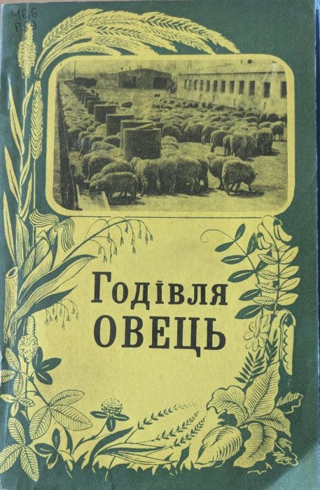 Годівля овець