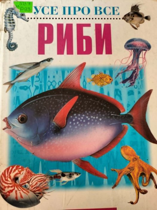 Риби