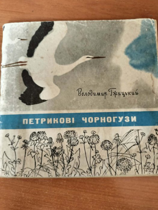 Петрикові чорногузи