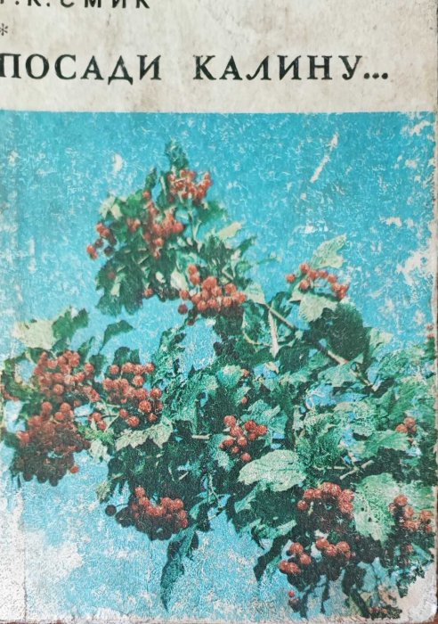 Посади калину