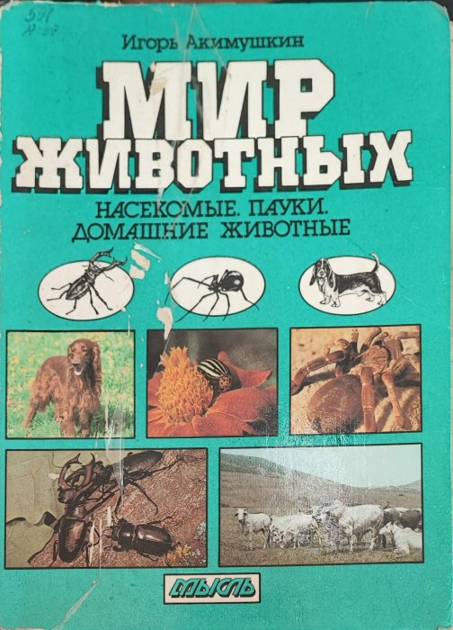 Мир животных. Насекомые, пауки, домашние животные