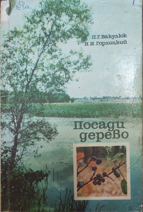 Посади дерево
