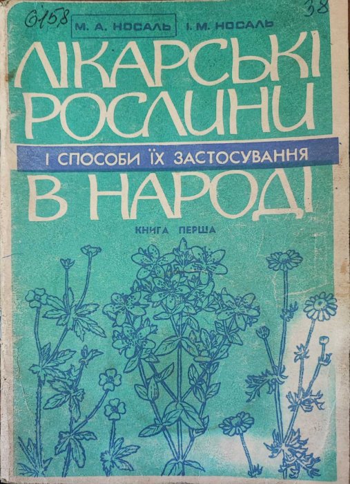 Лікарські рослини і способи застосування в народі
