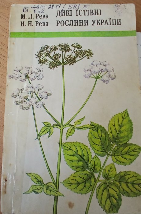 Дикі їстівні рослини