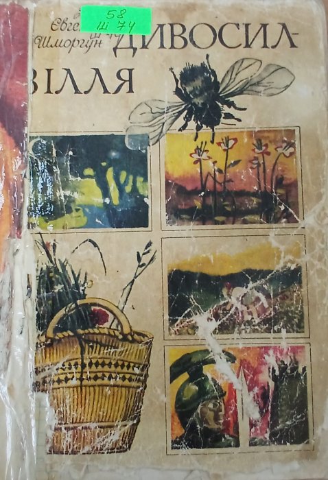 Дивосил -зілля