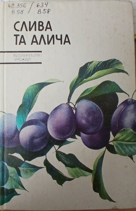 Слива та алича