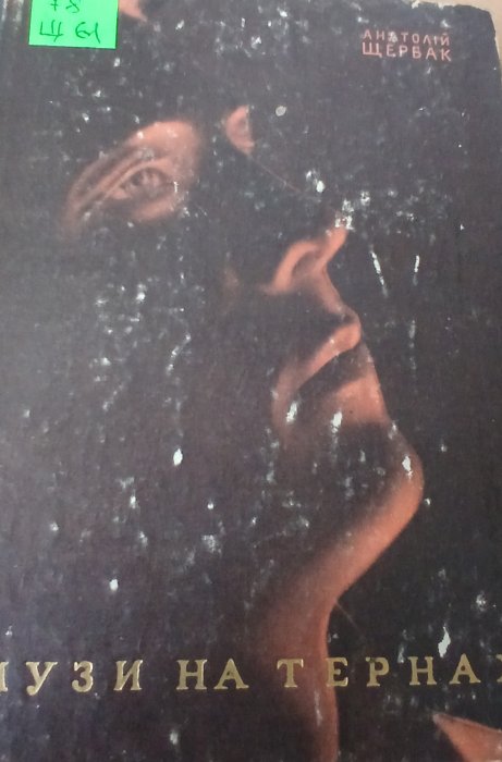 Музи на теренах