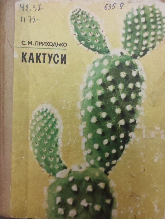 Кактуси