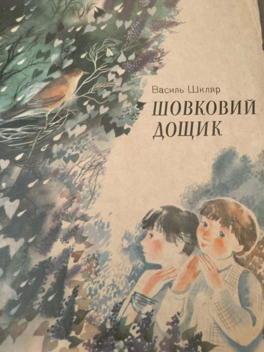 Шовковий дощик