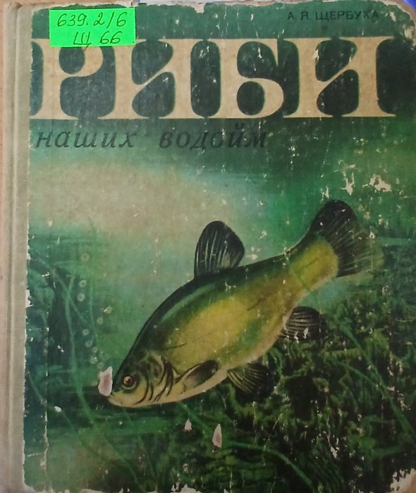 Риби наших водойм